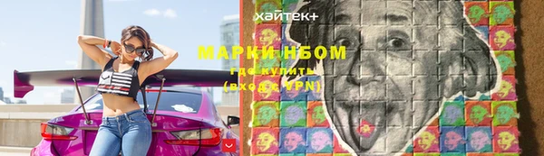 ECSTASY Белокуриха