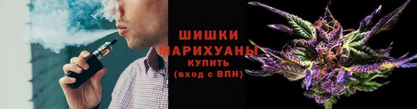 ECSTASY Белокуриха