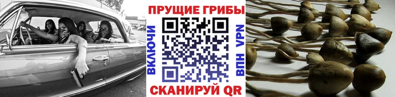 Галлюциногенные грибы ЛСД  даркнет состав  Михайлов 